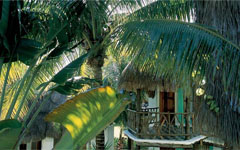 Hotel Shangri La Caribe Riviera Maya Mxico